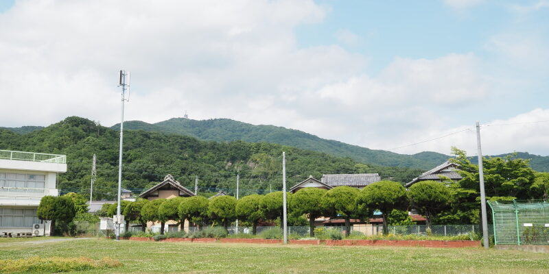 側道脇の花壇