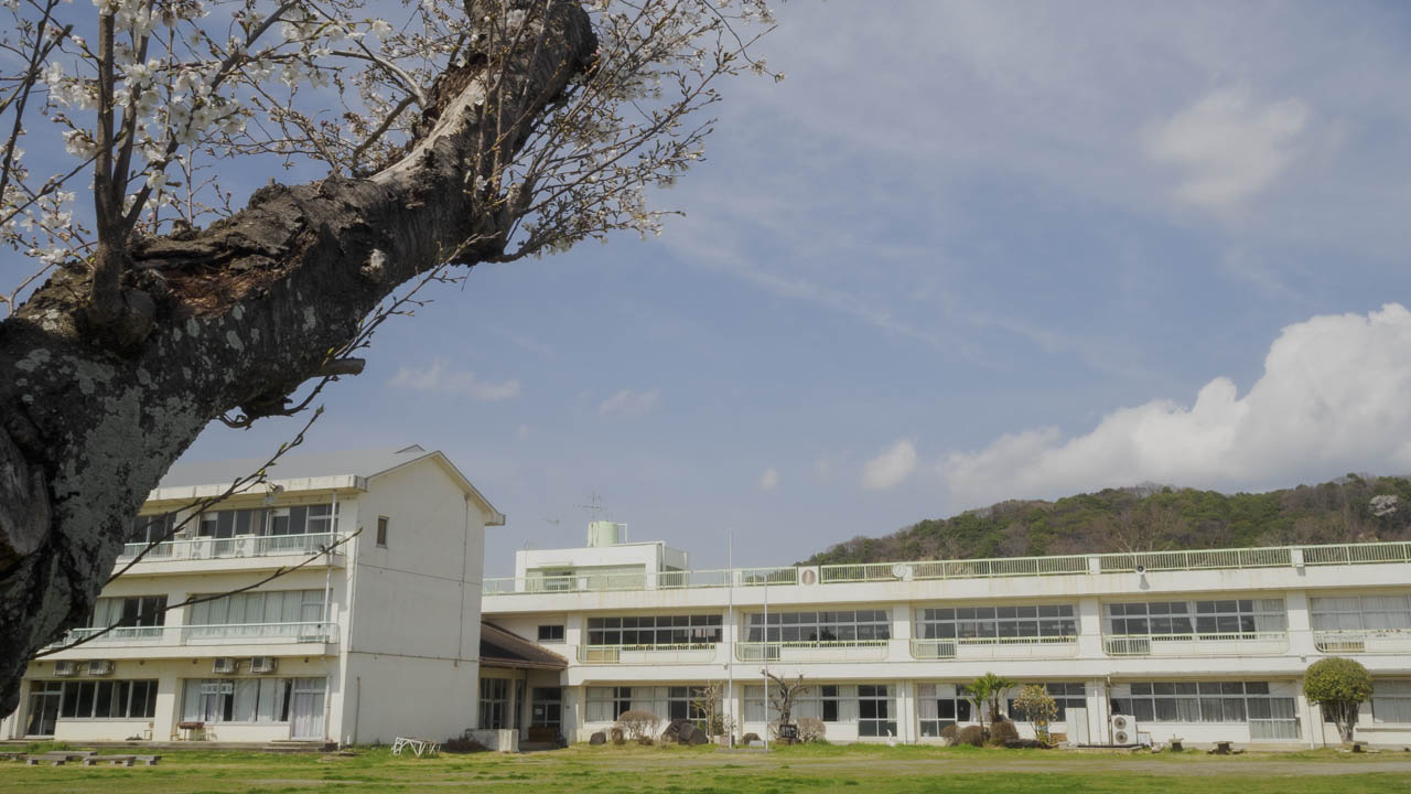 校庭に、サクラ咲く