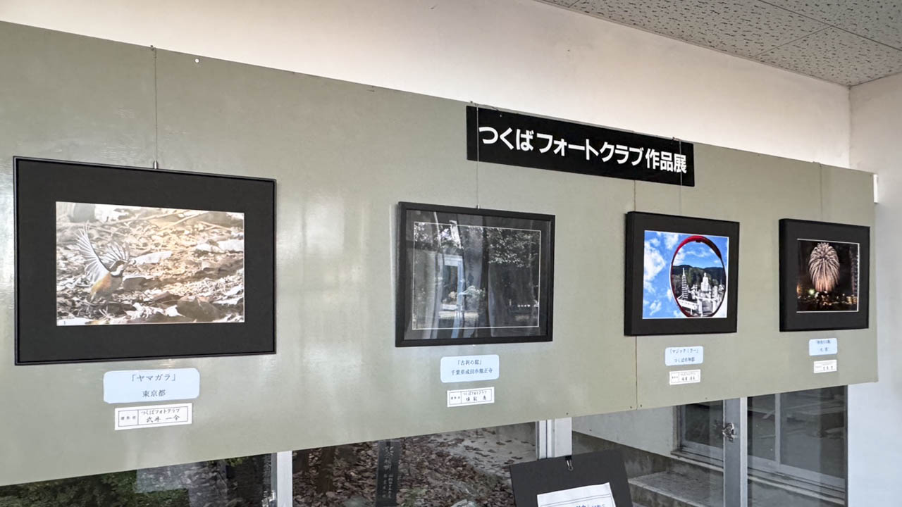 2025年12月のフォトクラブギャラリー