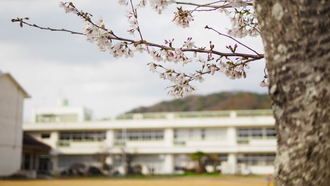 こんな日常 | 小田小交流プラザの春