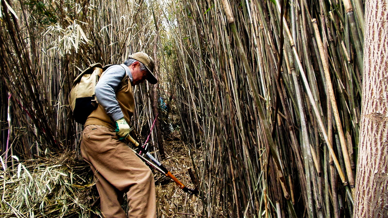 宝篋山、再開拓の歩み